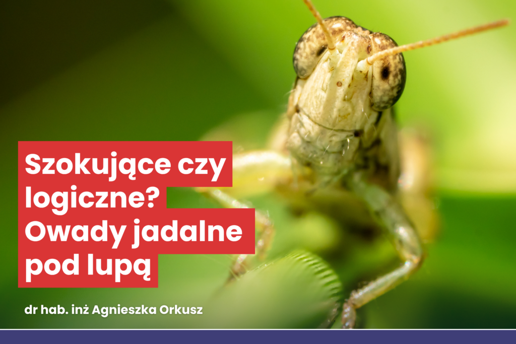 szarańcza zamiast karpia. Napis Szokujące czy logiczne? Owady jadalne pod lupą . Dr hab. inż. Agnieszka Orkusz. W tle zdjęcie owada