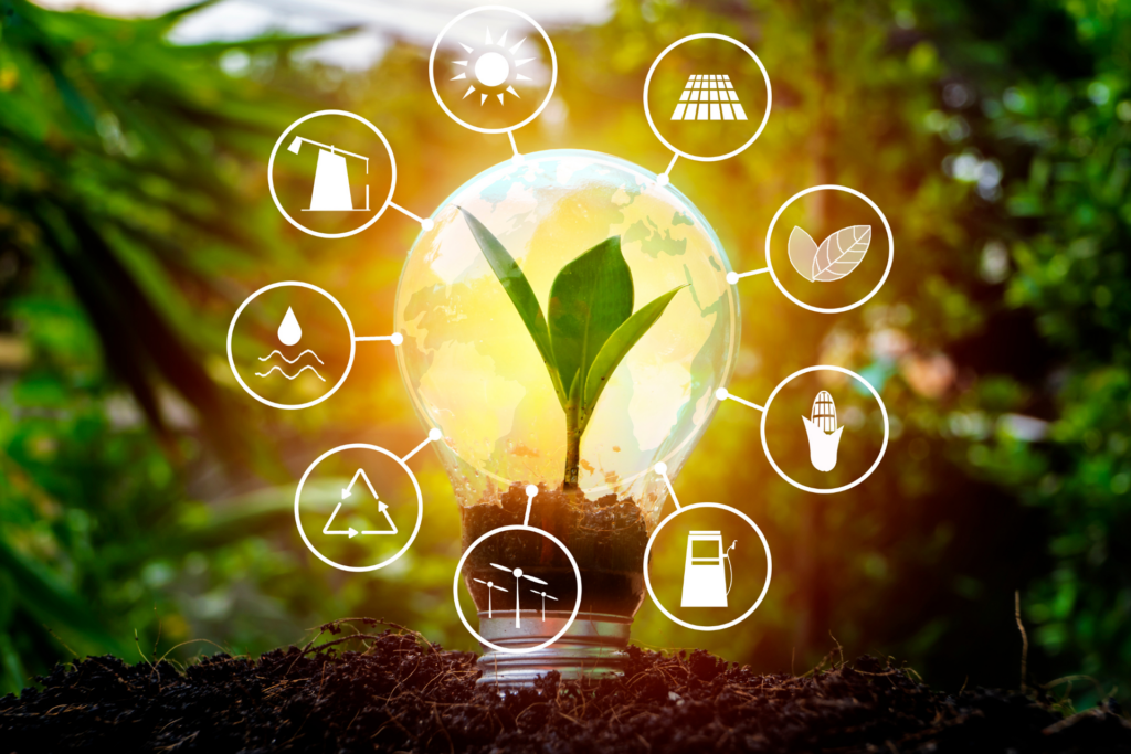 Zrównoważona Energetyka Regionalna. Po środku obrazka roślina we wnętrzu żarówki. Wokół w chmurze ikony przedstawiające ekologiczne źródła energetyczne