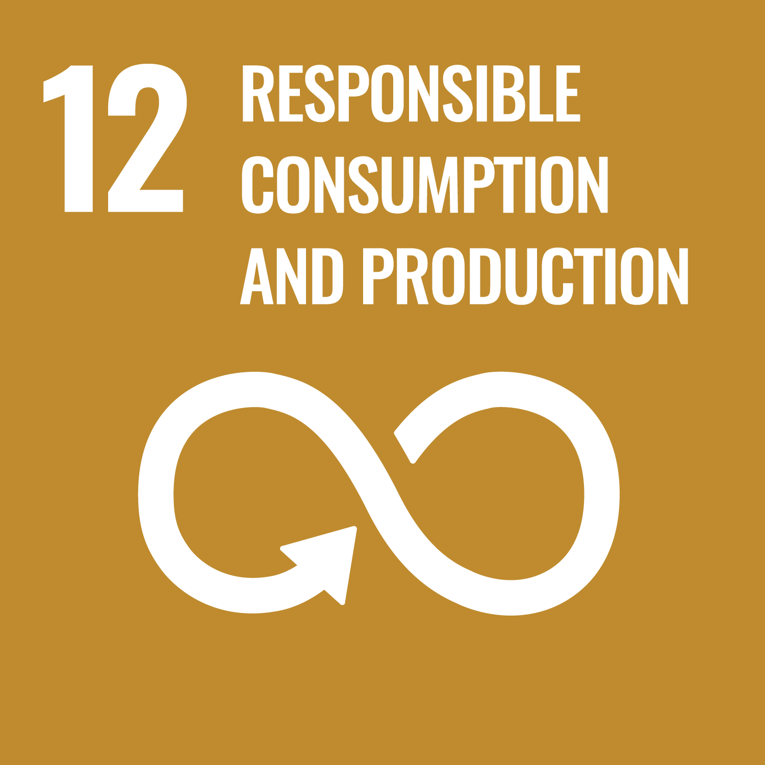 12 responsible consuption and production